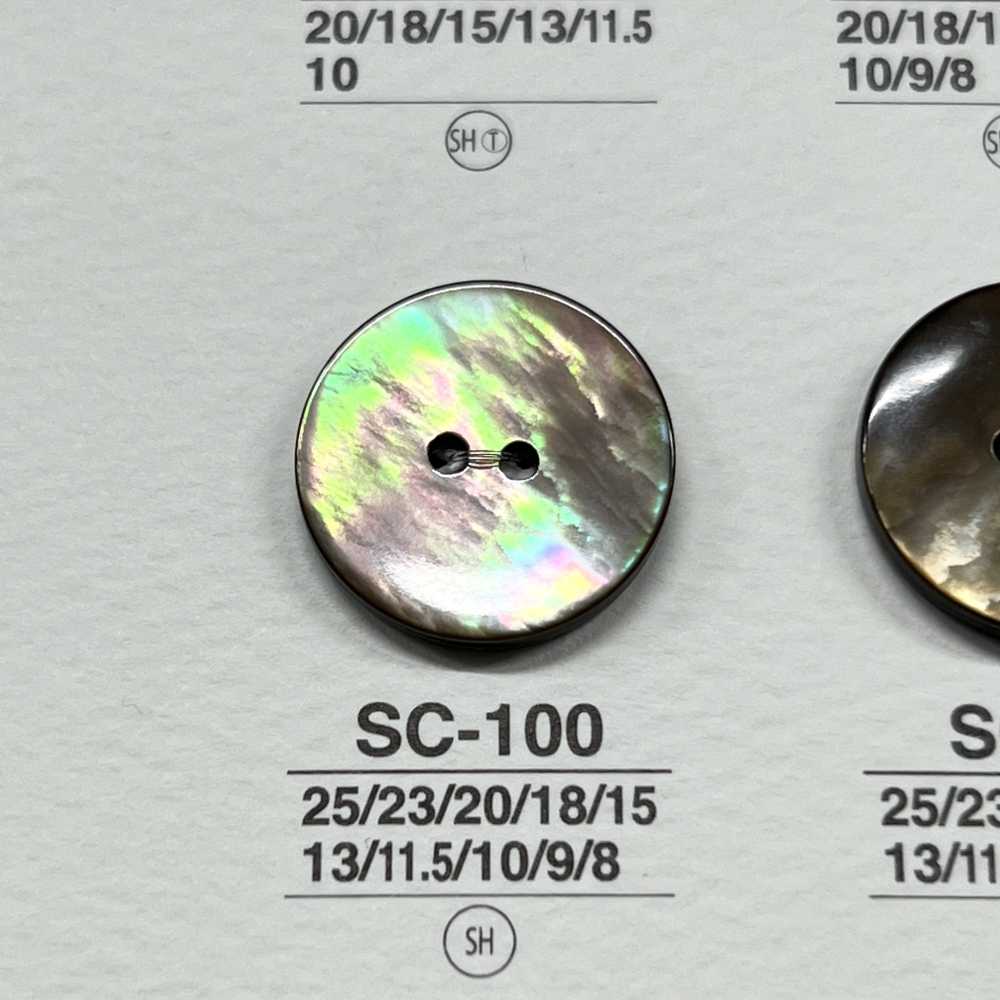 SC100 天然材料貝殼2 孔光面鈕扣 愛麗絲鈕扣