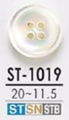 ST1019 由尖尾螺製成，正面有 4 個孔，有光澤的鈕扣 愛麗絲鈕扣