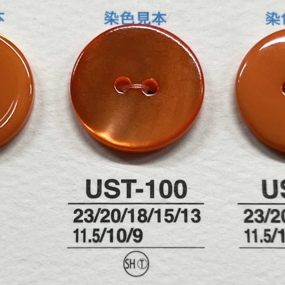USB100 天然材質，染黑黑蝶貝，正面 2 個孔，光面紐帶[鈕扣] 愛麗絲鈕扣