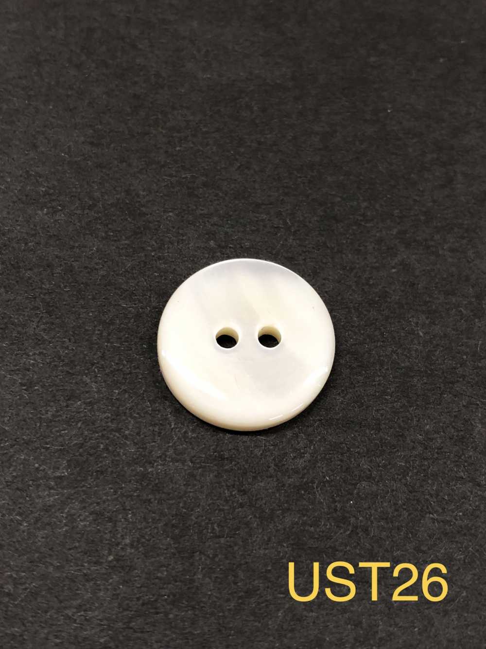 UST26 天然材料染色尖尾螺2 前孔光澤鈕扣 愛麗絲鈕扣