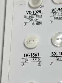 LV1861 用於染色的襯衫鈕扣 愛麗絲鈕扣 更多照片