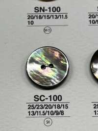 SC100 天然材料貝殼2 孔光面鈕扣 愛麗絲鈕扣 更多照片