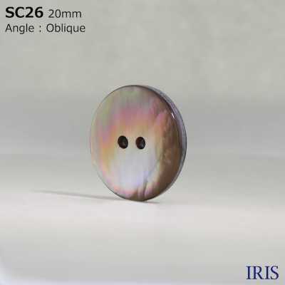 SC26 天然材料貝殼2 孔光面鈕扣 愛麗絲鈕扣 更多照片