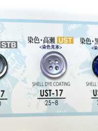 UST-17 天然材料尖尾螺貝殼4 孔貝殼貝殼鈕扣 愛麗絲鈕扣 更多照片