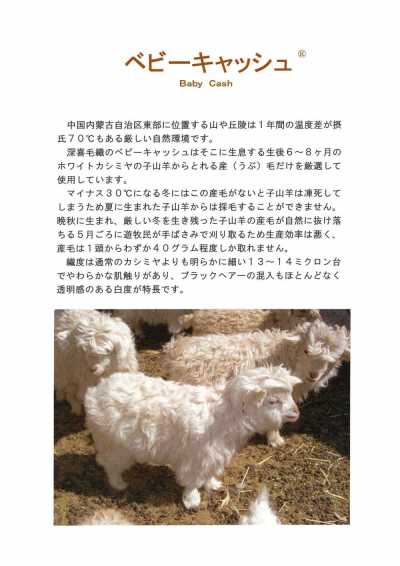 5746 Fukaki 毛呢日本製造嬰兒現款羊絨面料 FUKAKI 更多照片