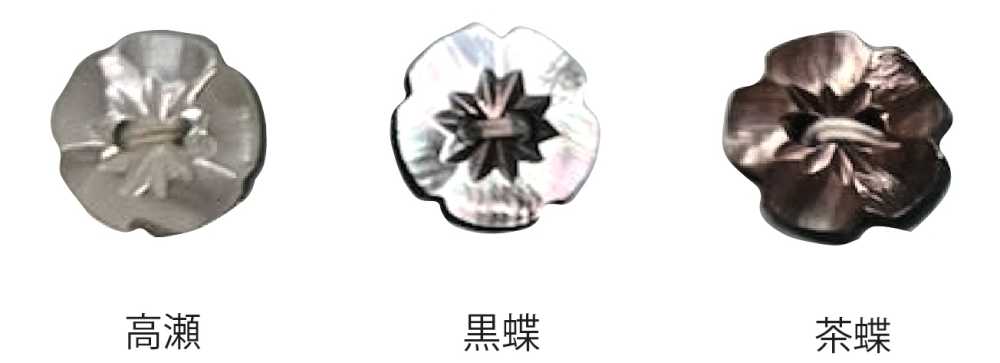 500 2孔梅花貝殼紐扣[鈕扣] 友井