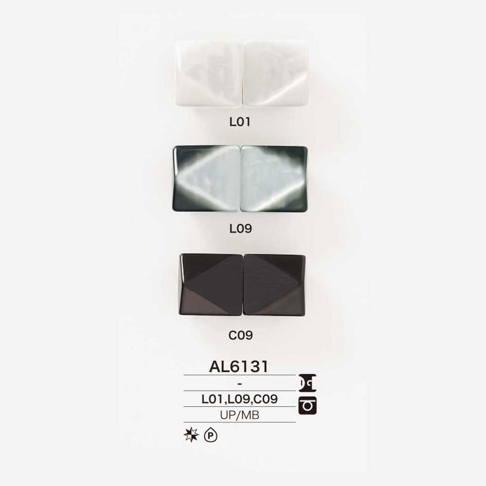 AL6131 聚酯纖維/黃銅前部部件[鉤扣] IRIS鈕扣