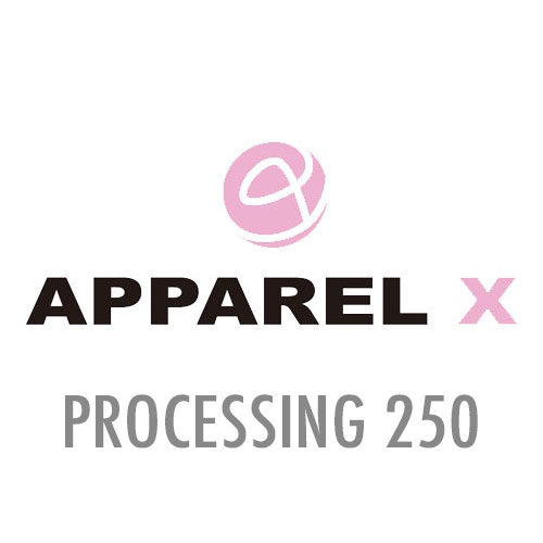 PROCESSING250 用於追加加工費訂單(@250)[系統]