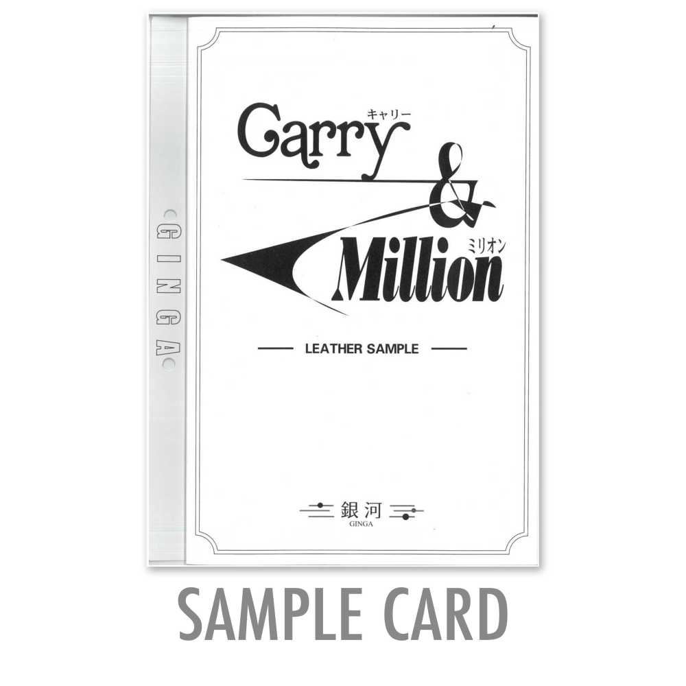 GINGA-SAMPLE2 GINGA樣卡【Carry&Million】