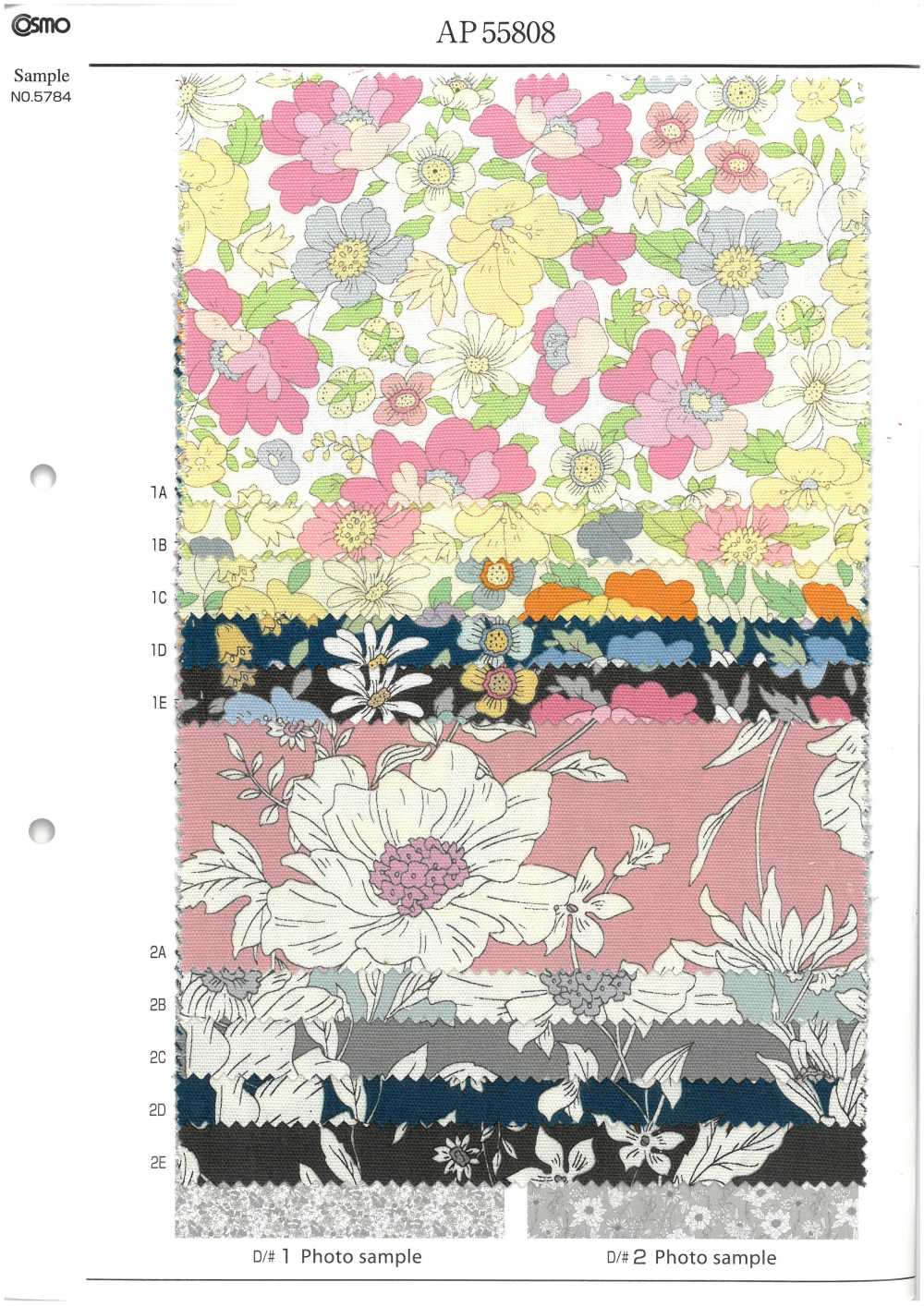 AP55808 Essential Grace 2牛津（圓形）[布料] Cosmo Textile