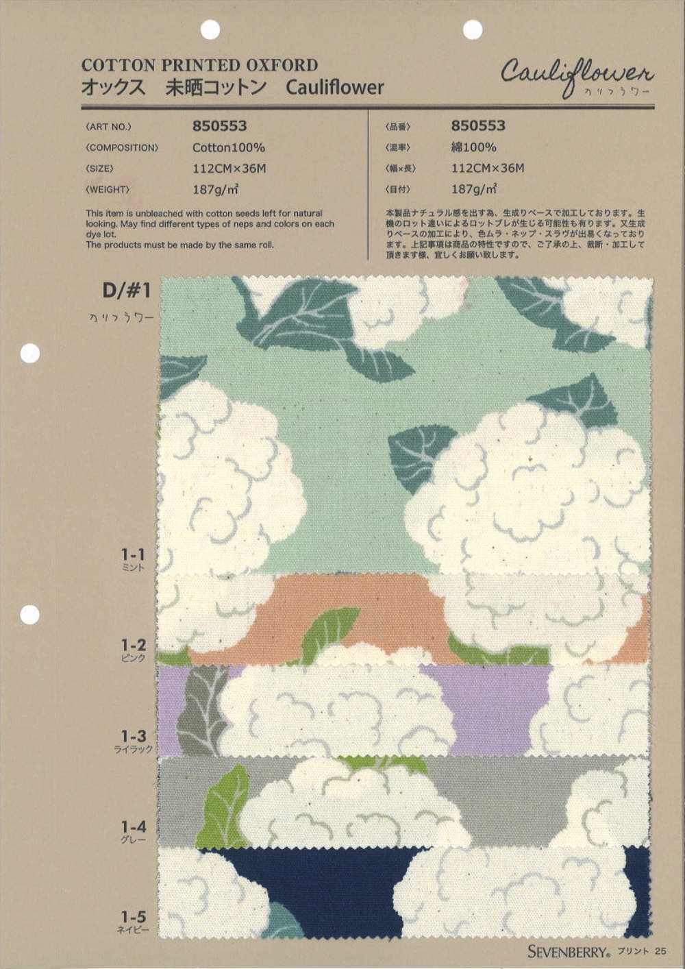 850553 未漂白牛津棉花椰菜[布料] VANCET