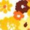 saita saita-紅色