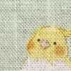 粉綠鸚哥