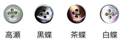 1504 四孔貝殼鈕扣