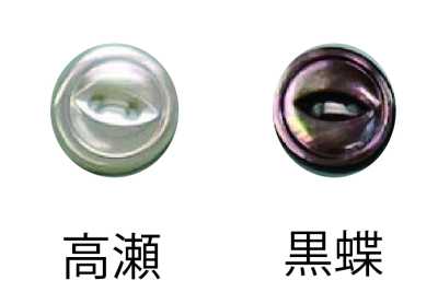 157 帶邊兩孔鈕扣
