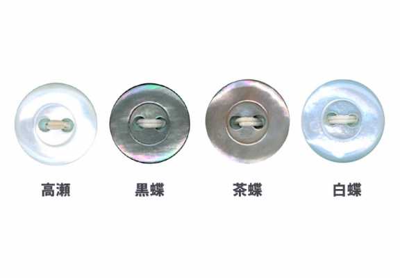 16 16型2孔貝殼鈕扣