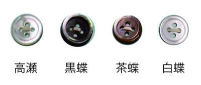 1704MAT 17型4孔貝殼鈕扣 MAT（消光加工）