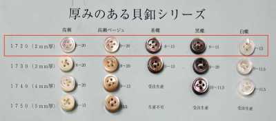 1720 表面四孔 帶邊 貝殼鈕扣 2mm厚