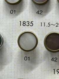 1835 優雅奢華的鈕扣，適合簡單的襯衫和夾克[羈扣] Osaka Plastic Industries（DAIYA BUTTON） 更多照片
