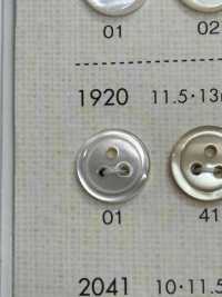 1920 DAIYA BUTTONS 3仿貝殼聚酯纖維鈕扣[羈扣] Osaka Plastic Industries（DAIYA BUTTON） 更多照片