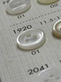 1920 DAIYA BUTTONS 3仿貝殼聚酯纖維鈕扣[羈扣] Osaka Plastic Industries（DAIYA BUTTON） 更多照片