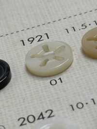 1921 DAIYA BUTTONS 5仿貝殼聚酯纖維鈕扣[羈扣] Osaka Plastic Industries（DAIYA BUTTON） 更多照片