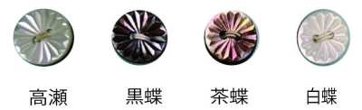 266 兩孔 無邊 貝殼鈕扣