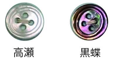 3500 四孔 帶邊貝殼鈕扣