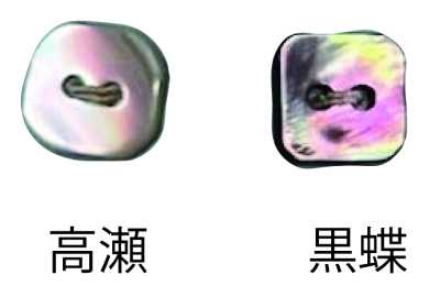 444 兩孔 無邊 貝殼鈕扣