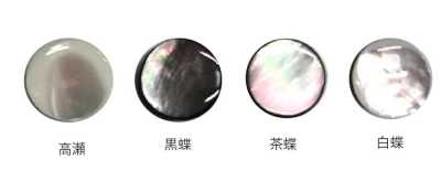 601P 塑膠腳貝殼鈕扣