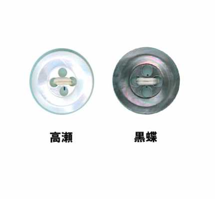 7 7型4孔貝殼鈕扣