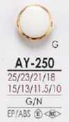 AY250 樹脂頂部鈕扣