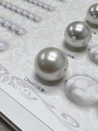 AZP6006 珍珠般的珠子[雜貨等] 愛麗絲鈕扣 更多照片