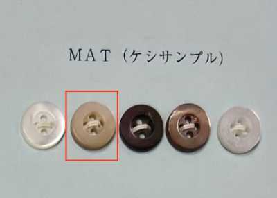 EX200MAT 高瀨 米色 正面四孔 貝殼鈕扣 霧面