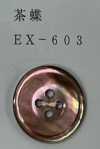 EX603 4孔帶邊，貝殼紐帶