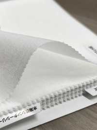 SH1008 Conbel Sinter 系列粘合襯[襯布] Conbel 更多照片