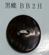 BB2H 2孔，無邊框，貝殼紐扣