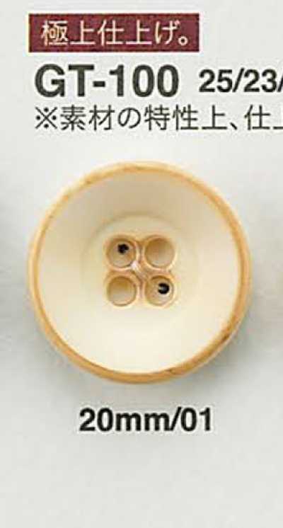GT100 阿爾杜爾