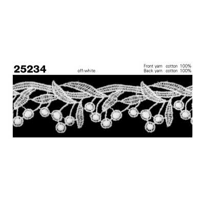 25234 窄幅化學蕾絲