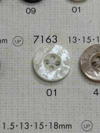 7163 DAIYA BUTTONS仿貝殼聚酯纖維鈕扣[羈扣] Osaka Plastic Industries（DAIYA BUTTON） 更多照片