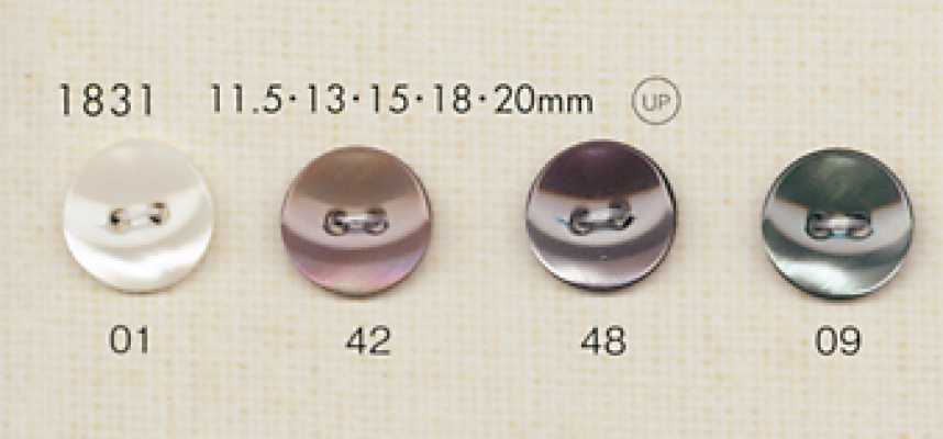 1831 DAIYA BUTTONS 仿貝殼聚酯纖維鈕扣