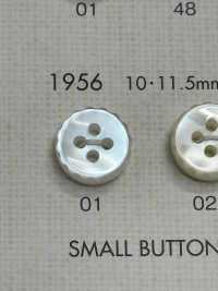1956 DAIYA BUTTONS仿貝殼聚酯纖維鈕扣[羈扣] Osaka Plastic Industries（DAIYA BUTTON） 更多照片