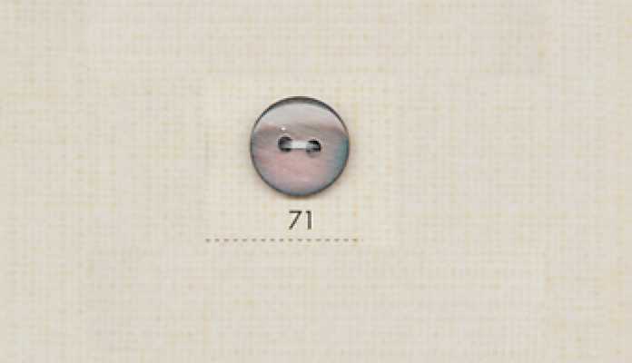 71 DAIYA BUTTONS 兩孔黑蝶貝仿貝殼聚酯鈕扣