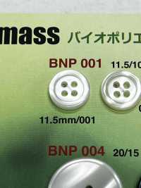 BNP-001 聚酯纖維四孔鈕扣 愛麗絲鈕扣 更多照片