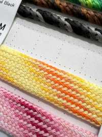 GD6AC-M 漸變繩子13.5MM[緞帶、帶、繩子] Cordon 更多照片