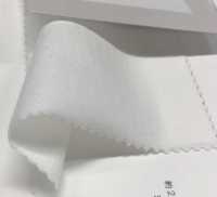 6520 20 / CLEANSE天竺棉[面料] Fujisaki Textile 更多照片
