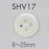 SHV17 四孔帶邊貝殼鈕扣