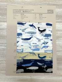 82158 SEVENBERRY® 波紋渡海是男人的浪漫鯨魚[布料] VANCET 更多照片
