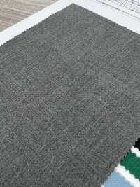 VI60009 LONNIZE® 雙層布[布料] 松原 更多照片