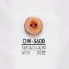 OW5600 木、膠合板製 正面兩孔鈕扣